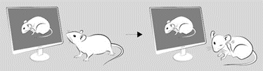 图片2.gif
