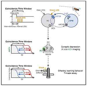zengjianzhi13.png zengjianzhi13.png