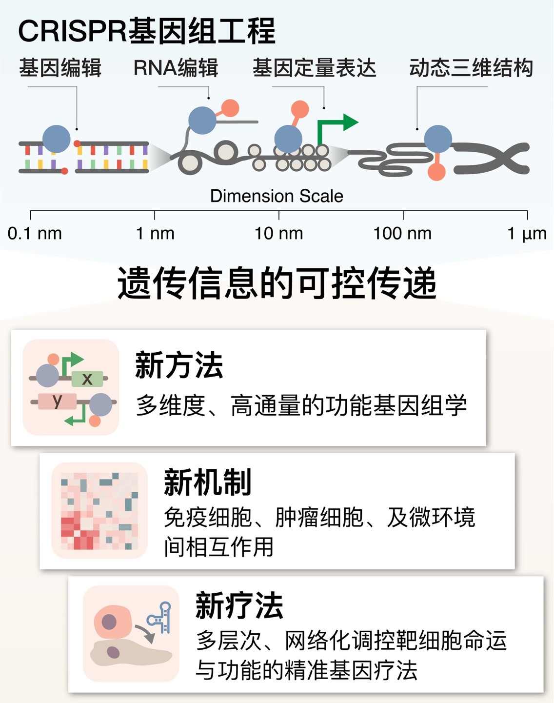 于晨研究方向.jpg