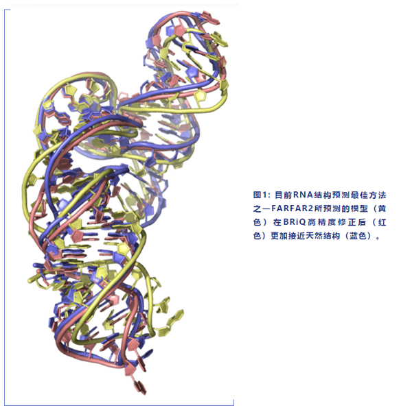 科研动态.png 科研动态.png