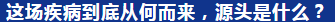 QQ图片20200203110740.png QQ图片20200203110740.png