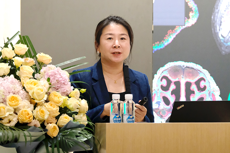 DSCF4810.JPG