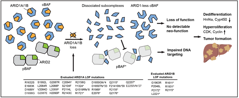 6383022674594290384871668.png 6383022674594290384871668.png