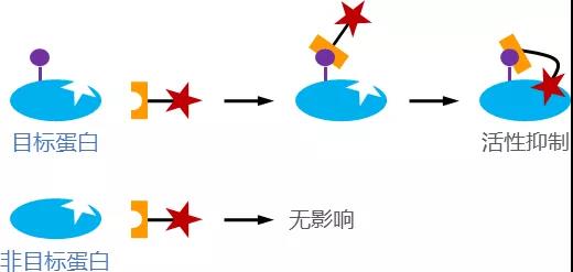 研究成果.jpg 研究成果.jpg