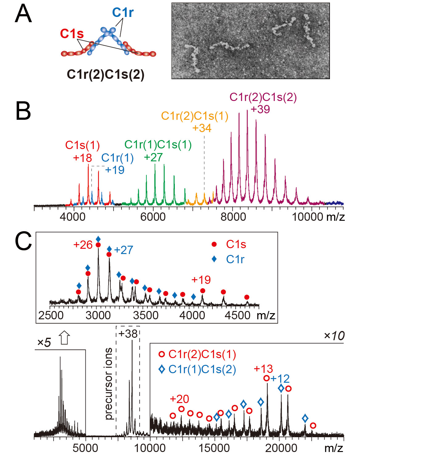 62ac1a63-1e19-4ef6-ab09-eac256ea8c48.jpg 62ac1a63-1e19-4ef6-ab09-eac256ea8c48.jpg