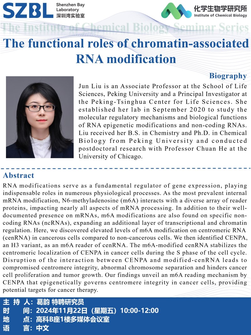 poster-Jun Liu1122.jpg