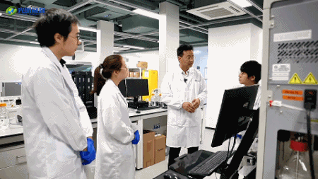 6.gif 6.gif