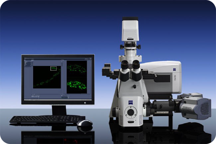 Laser confocal fluorescence microscope system