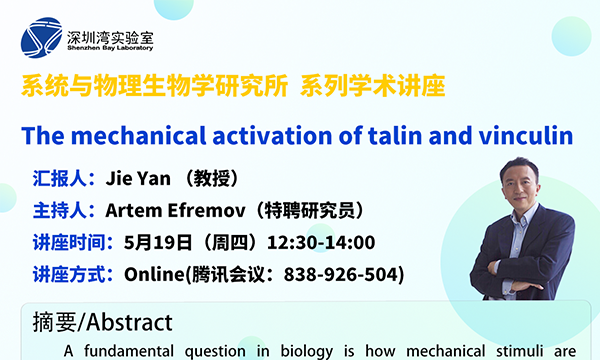 Open Lecture | The mechanical activation of talin and vinculin