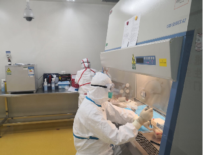 动物级实验室（基于动物模型开展疫苗研发和病原体侵染宿主相关实验及药物开发）