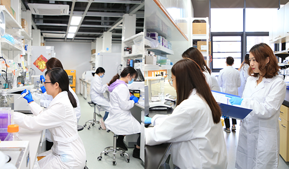 巾帼展风采 深圳湾实验室两位女科学家及团队获“巾帼文明岗”荣誉称号