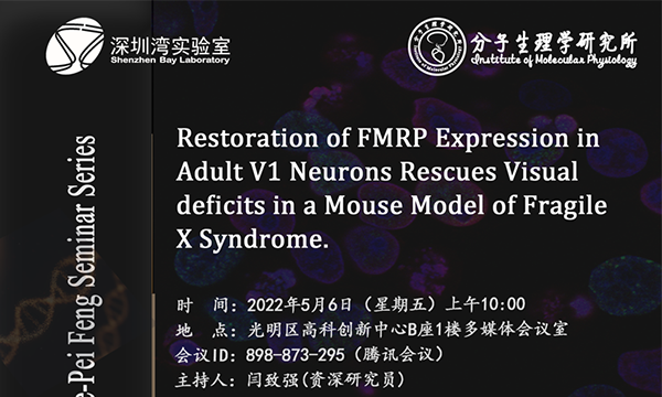 讲座信息 | Restoration of FMRP Expression in Adult V1 Neurons Rescues Visual deficits in a Mouse Model of Fragile X Syndrome