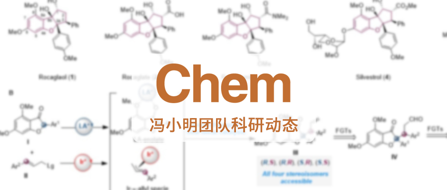 科研动态｜冯小明团队最新Chem：实现天然产物立体发散性全合成新突破