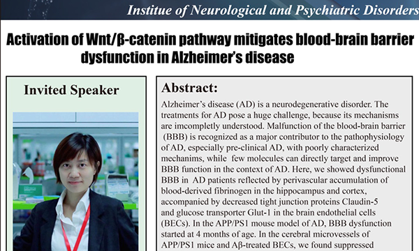 讲座信息 | Activation of Wnt/β-catenin pathway mitigates blood-brain barrier dysfunction in Alzheimer's disease