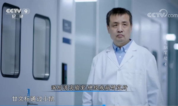央视纪录片《大脑深处》探访深圳湾实验室解密睡眠与记忆