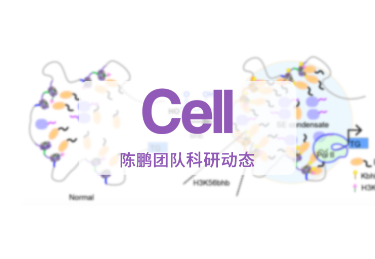 Cell | 陈鹏团队实现活细胞中染色质化学修饰的编码表达与串联解析
