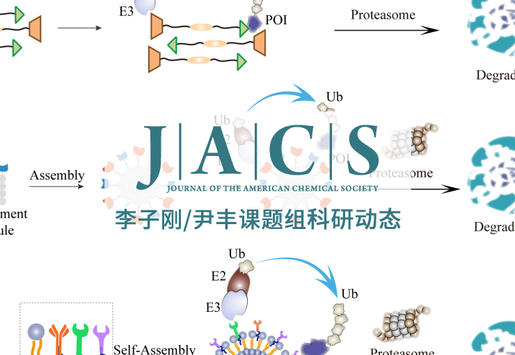 JACS | 打破PROTAC研发逻辑，李子刚/尹丰团队最新进展：分而后合的脂质体PROTAC策略