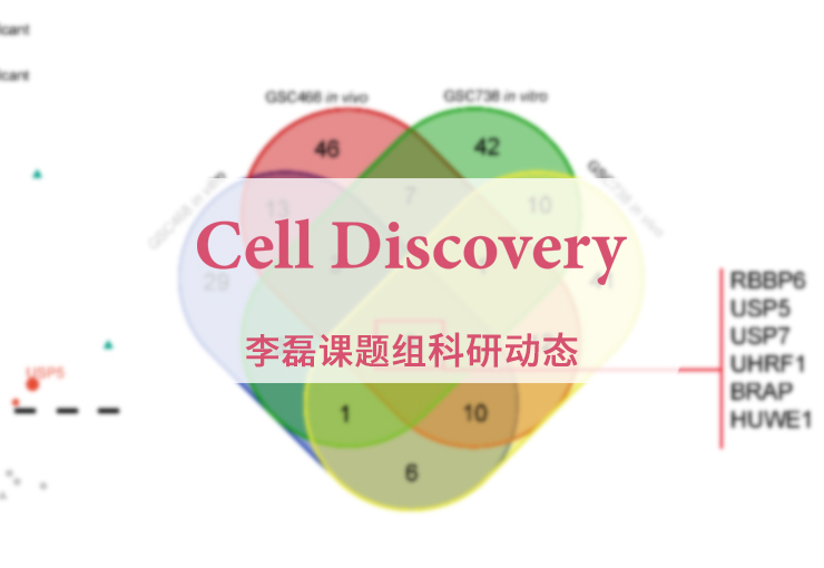 Cell Discovery | 李磊团队与合作者发现胶质母细胞瘤的潜在新靶点并揭示其作用机制