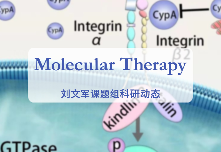 Molecular Therapy | 刘文军团队与中国科学院微生物研究所合作揭示病毒性肺炎治疗的新靶点