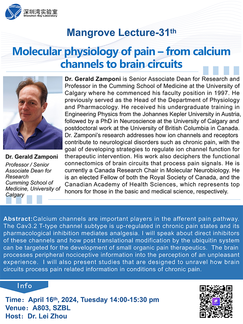 活动预告 | 红树林论坛第31期-Molecular physiology of pain – from calcium channels to brain circuits